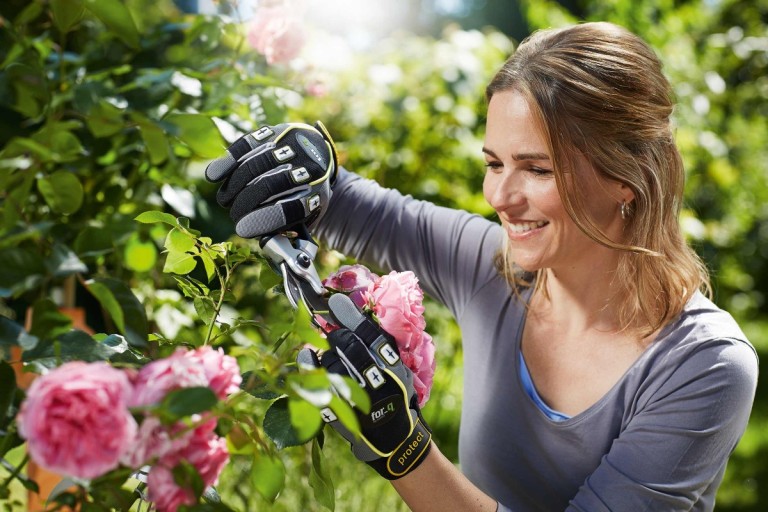 5 tipů, jak pěstovat růže