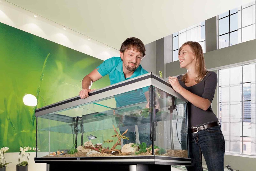 6 tipů, jak správně vybrat akvárium 