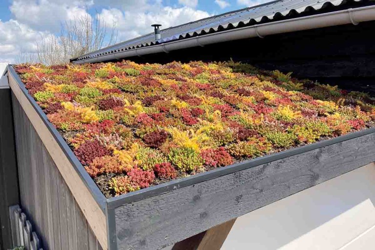 4 tipy, jak si vytvořit vlastní zelenou střechu