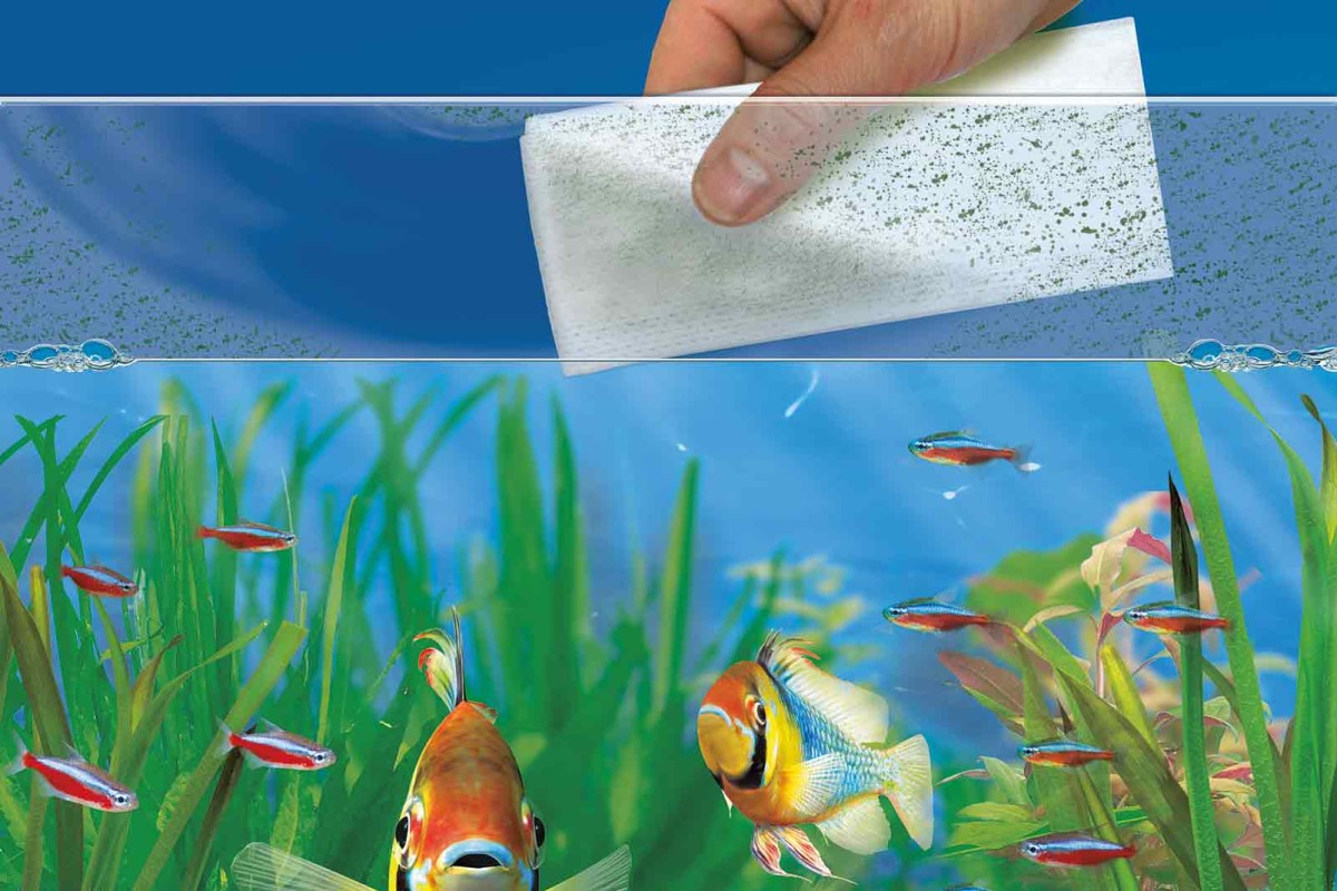 Jak vyčistit vodu v akváriu?