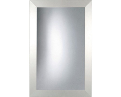 Zrcadlo Nizza stříbro-hliníkové 30 x 50 cm