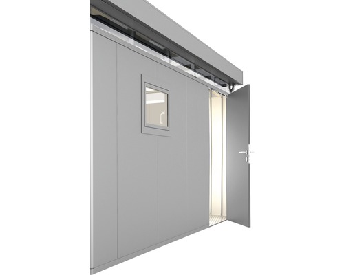 Přídavné dveře 95 x 200 cm pravé pro zahradní domky Biohort CasaNova stříbrné metalické
