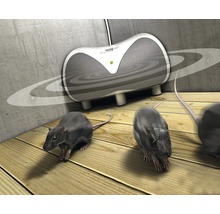 Ultrazvukový plašič hlodavců a myší SwissInno pro prostor o ploše až 30 m²-thumb-2
