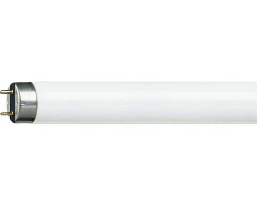 Zářivka Philips G13 36W 6500K
