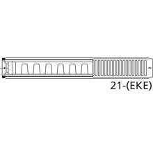 Radiátor Rotheigner Typ 21 EKE 30x100 cm-thumb-3