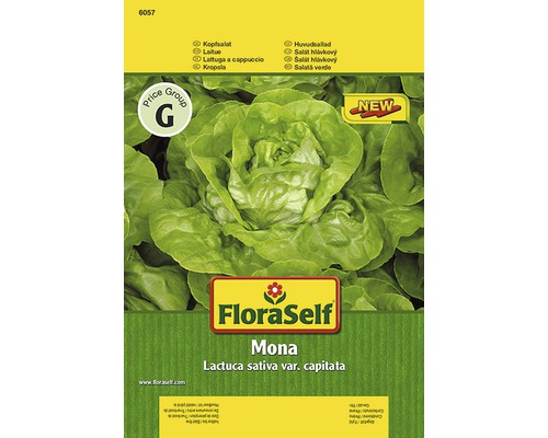 Hlávkový salát 'Mona' FloraSelf