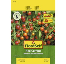 Rajče 'Red Currant' FloraSelf-thumb-0