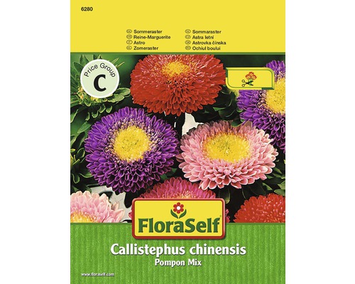 Astra Pompon FloraSelf Callistephus chinensis směs-0