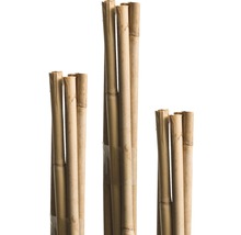 Tyčka k rostlinám 90 cm Ø 6 mm bambusová 10 ks-thumb-0