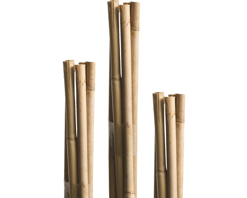 Tyčka k rostlinám 120 cm Ø 8 mm bambusová 10 ks