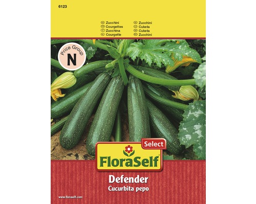 Cuketa 'Defender' FloraSelf Select