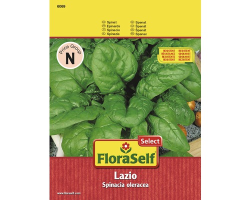 Špenát 'Lazio' FloraSelf Select