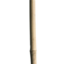 Bambusová opěrná tyčka 180 cm 12/14 mm, přírodní-thumb-0