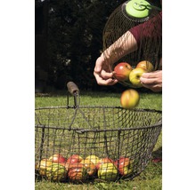 Sběrač ořechů a ovoce for_q teleskopický 110–165 cm-thumb-2