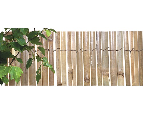 Bambusová rohož štípaná přírodní 1 x 5 m