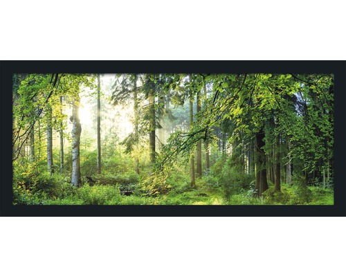 Obraz v rámu Forest Harmony 130x60 cm