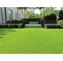 Umělý trávník Arizona s drenáží zelený šířka 200 cm (metráž)-thumb-16