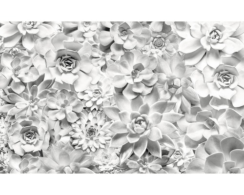 Fototapeta vliesová Shades Black & White, motiv květiny-0