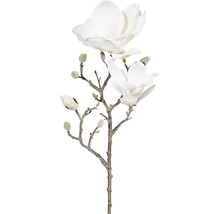 Magnolie ojíněná 63 cm bílá-thumb-0