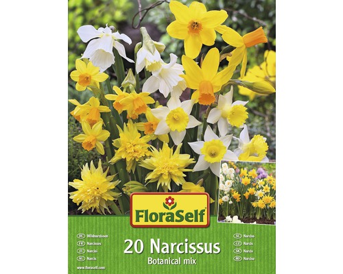 Narcisy botanické FloraSelf mix 20 ks