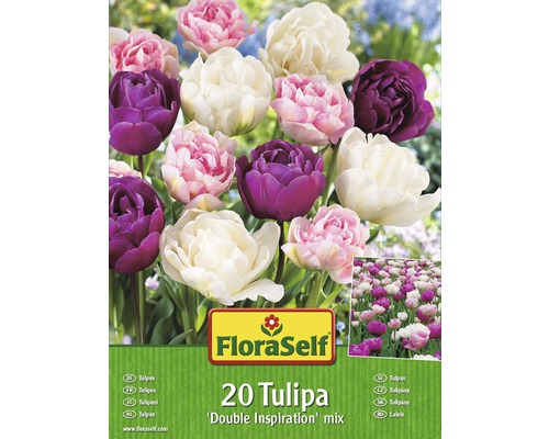 Tulipány FloraSelf ‚Double Inspiration‘ mix 20 ks