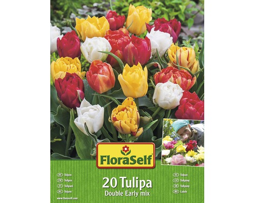 Tulipány plnokvěté FloraSelf Double Early mix 20 ks