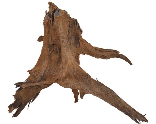 Kořen Amazonas root XL 40-60 cm-0