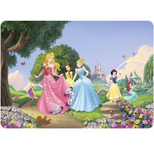Prostírání Disney princezny 42x30 cm TMD 8300-thumb-0