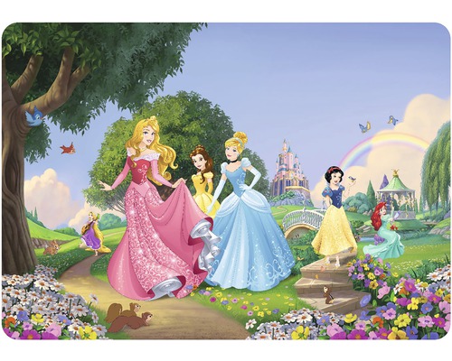 Prostírání Disney princezny 42x30 cm TMD 8300