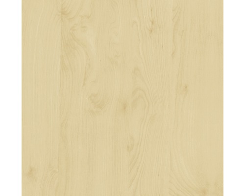 Samolepící fólie D-C-FIX s dřevěným dekorem bříza 45x200 cm