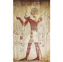 Fototapeta Egyptská malba MS-2-0052-thumb-1