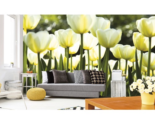 Vliesová fototapeta Bílé tulipány MS-5-0127