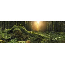 Obraz na plátně Beautiful forest 50x150 cm-thumb-0