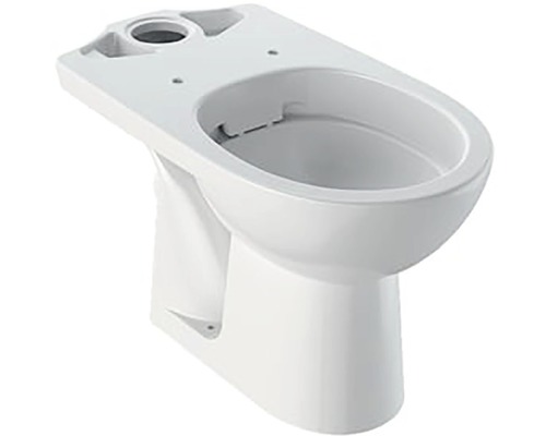Stojící WC Geberit Selnova bez splachovacího kruhu zadní odpad 500.283.01.1-0