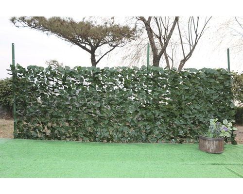 Umělý živý plot brečťan 1 x 3 m