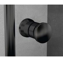 Otočné dveře basano Modena black 80 cm čiré sklo barva profilu matně černá-thumb-7