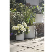 Obal na květináč keramický Miami Ø 22 x 19 cm bílý-thumb-5