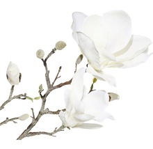 Magnolie ojíněná 63 cm bílá-thumb-1