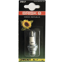 Zapalovací svíčka BRISK PR17-thumb-0