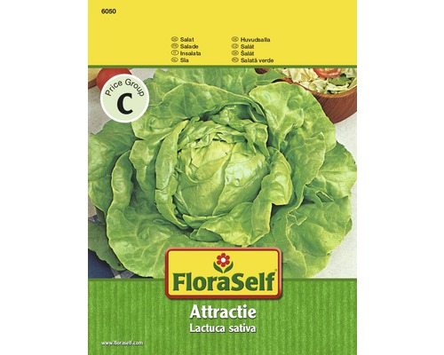 Hlávkový salát 'Attractie' FloraSelf