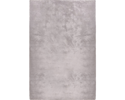 Dekorační koberec Shaggy Wellness 200 x 300 cm stříbrný-0