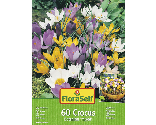 Krokusy botanické FloraSelf mix 60 ks