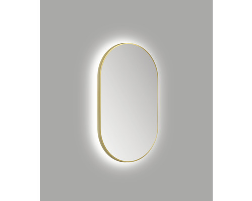 LED zrcadlo do koupelny DSK Bronze Oval 60 x 100 cm IP 24-0