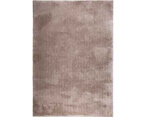 Kusový koberec Shaggy Wellness taupe 160 x 230cm