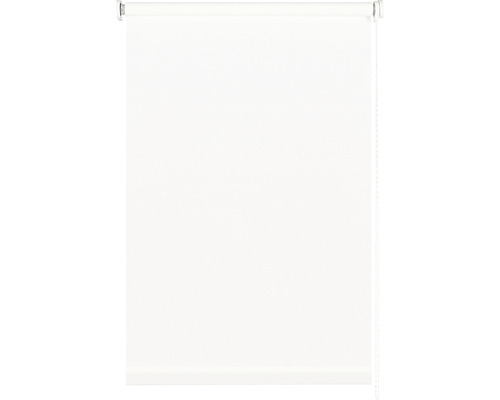 Roleta propouštějící denní světlo bílá 80x175 cm