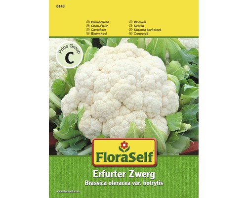 Květák 'Erfurtský trpaslík' FloraSelf-0