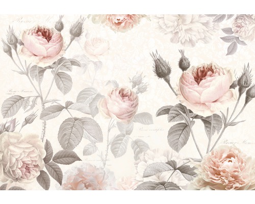 Fototapeta Komar, motiv květiny, krémovo-šedo-růžová