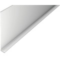 ALU-soklová lišta 2,5m 100mm stříbrná bez děrování